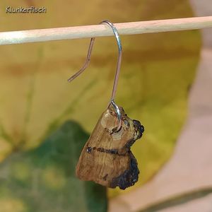 Single-Ohrring mit Kork