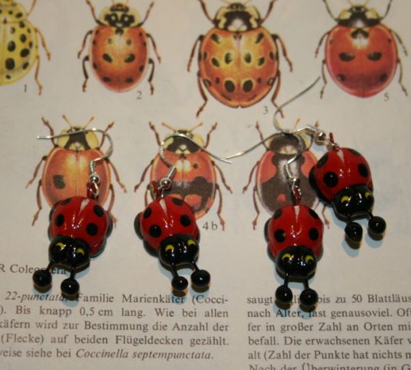 Käfer, Käfer-Ohrringe, Marienkäfer, Ohrringe mit Marienkäfern