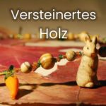 Versteinertes Holz