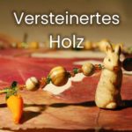 Versteinertes Holz