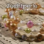 Zuchtperle