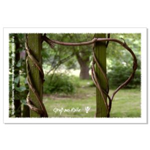 Postkarte von Halle