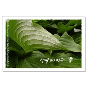 Postkarte von Halle