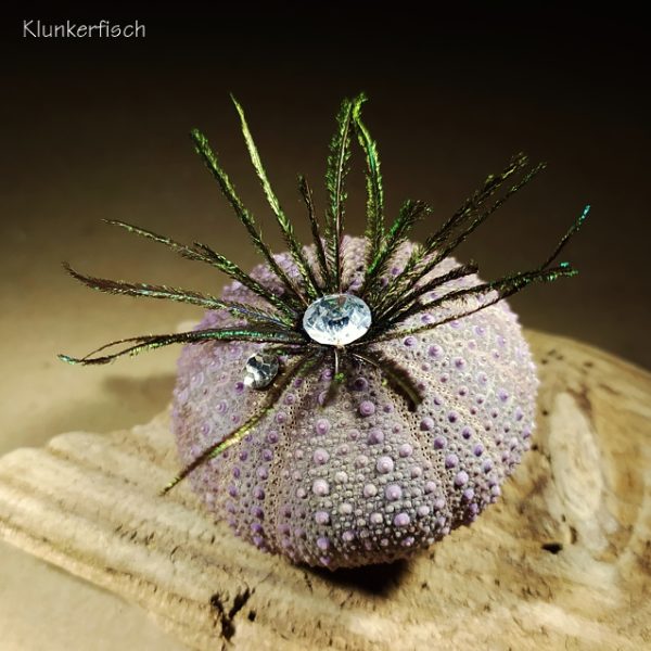 Brosche aus echtem Seeigel-Gehäuse mit Pfauenfedern und Strass