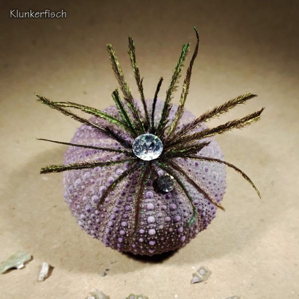 Brosche aus echtem Seeigel-Gehäuse mit Pfauenfedern und Strass