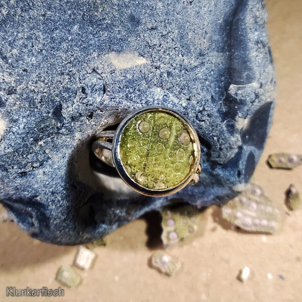 Ring mit echtem Seeigel-Gehäuse-Stück in Grün