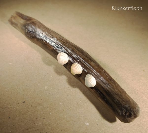 Haarspange aus Treibholz mit drei kleinen Muscheln