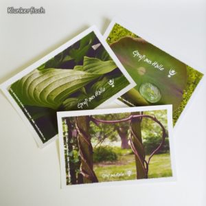 Postkarten-Set Halle Botanischer Garten 2