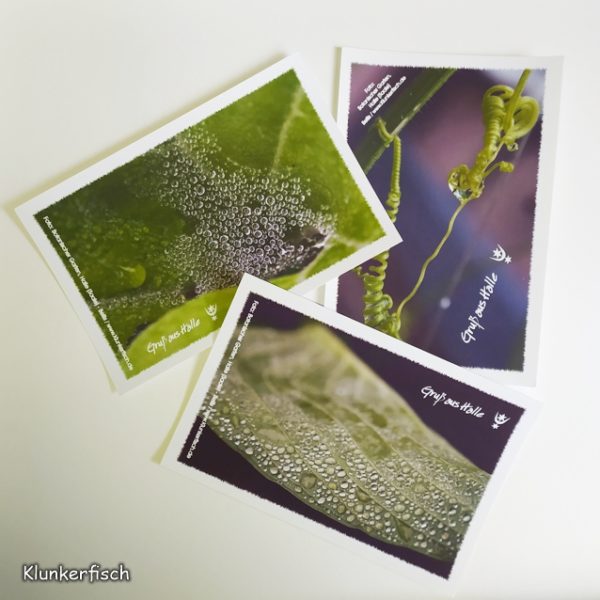 Postkarten-Set Halle Botanischer Garten 3